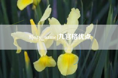 本溪九宫格优点