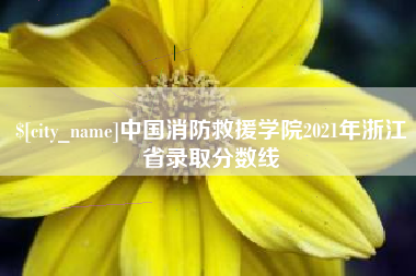 本溪中国消防救援学院2021年浙江省录取分数线