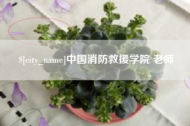 本溪中国消防救援学院 老师
