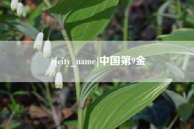 本溪中国第9金 本溪中国第9金