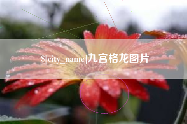 本溪九宫格龙图片