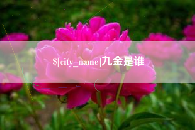 本溪九金是谁