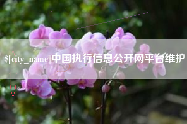 本溪中国执行信息公开网平台维护