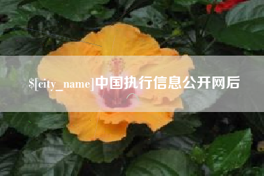 本溪中国执行信息公开网后