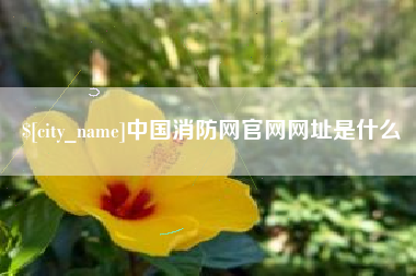 本溪中国消防网官网网址是什么