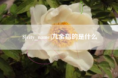 本溪九金指的是什么
