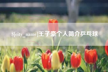 本溪王子豪个人简介乒乓球