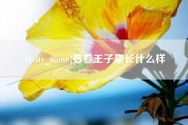本溪看看王子豪长什么样