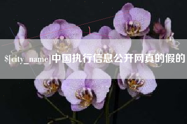 本溪中国执行信息公开网真的假的