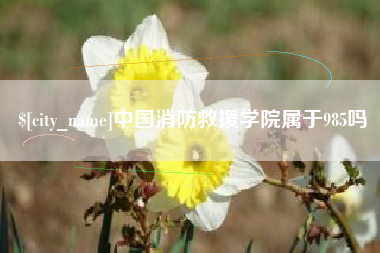 本溪中国消防救援学院属于985吗