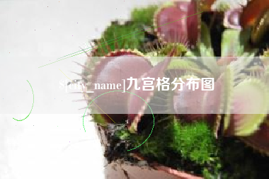 本溪九宫格分布图