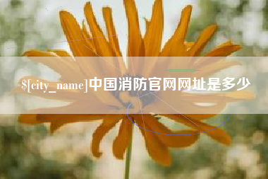本溪中国消防官网网址是多少