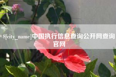 本溪中国执行信息查询公开网查询官网