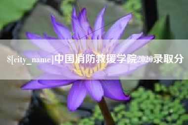本溪中国消防救援学院2020录取分