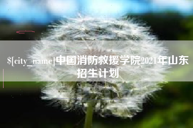 本溪中国消防救援学院2021年山东招生计划
