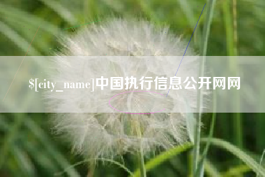 本溪中国执行信息公开网网