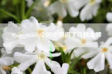 本溪中国金牌得了几枚金牌