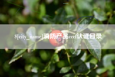 本溪消防产品cccf认证目录
