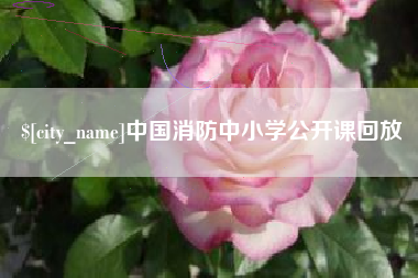 本溪中国消防中小学公开课回放