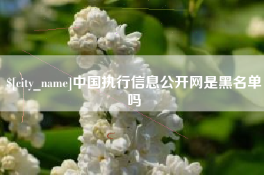 本溪中国执行信息公开网是黑名单吗