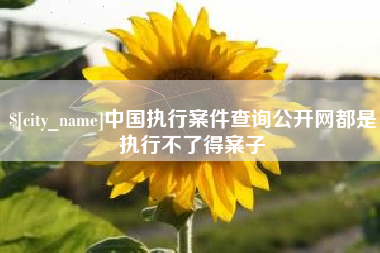 本溪中国执行案件查询公开网都是执行不了得案子