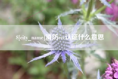 本溪消防ccc认证什么意思