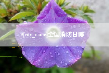 本溪全国消防日哪一