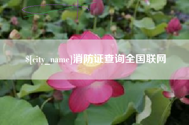 本溪消防证查询全国联网