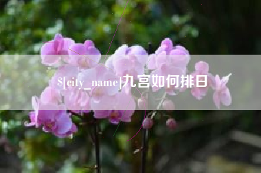 本溪九宫如何排日