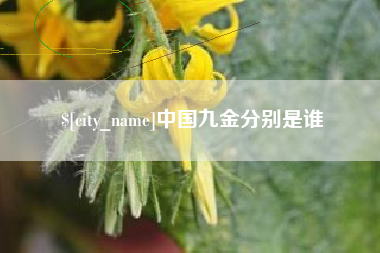 本溪中国九金分别是谁