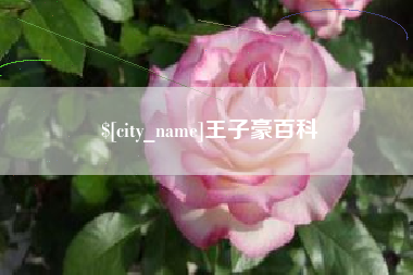 本溪王子豪百科