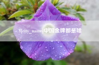 本溪中国金牌都是啥