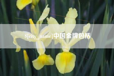 本溪中国金牌包括