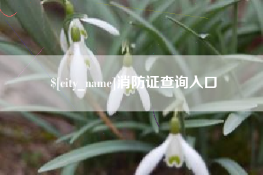 本溪消防证查询入口