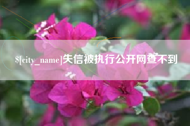 本溪失信被执行公开网查不到