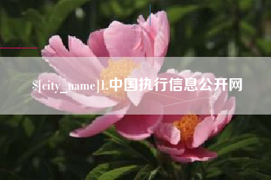 本溪1.中国执行信息公开网