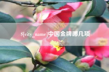 本溪中国金牌哪几项