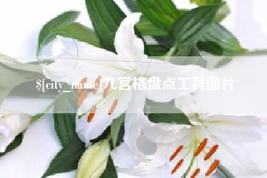 本溪九宫格盘点工具图片