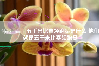 本溪五千米比赛领跑员是什么-他们就是五千米比赛领跑员