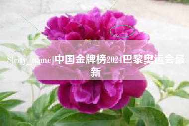 本溪中国金牌榜2024巴黎奥运会最新