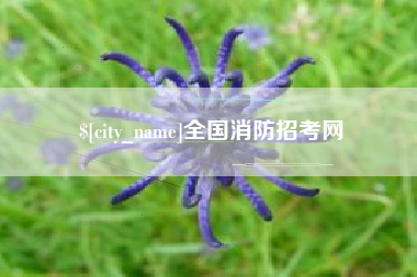 本溪全国消防招考网