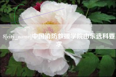 本溪中国消防救援学院山东选科要求