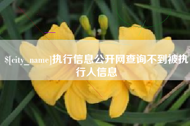 本溪执行信息公开网查询不到被执行人信息