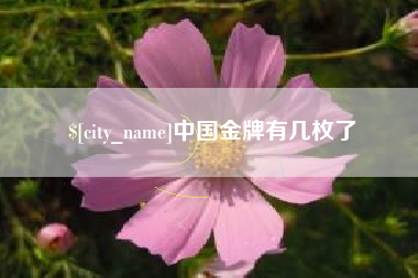 本溪中国金牌有几枚了