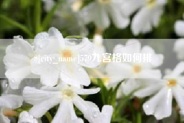 本溪579九宫格如何排