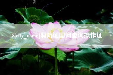 本溪消防证国网查询操作证