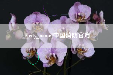 本溪中国消防官方
