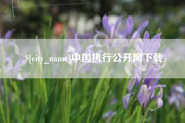 本溪中国执行公开网下载