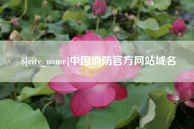 本溪中国消防官方网站域名