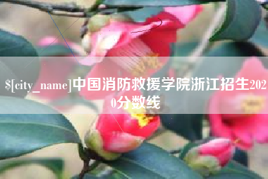 本溪中国消防救援学院浙江招生2020分数线